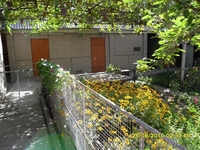 Продается дом в Ангрене - Изображение #1, Объявление #869610